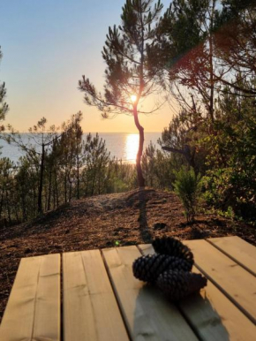 Au Pied de la Dune, accès privé à la plage